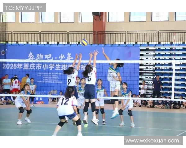 排球专题：聚焦重庆排球队的速度