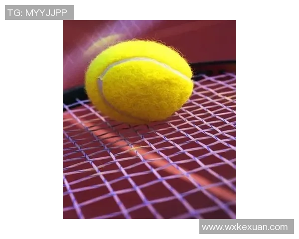 网球装备选购：训练器材推荐